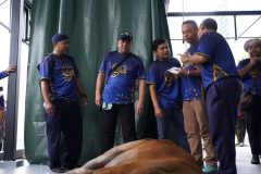 NFS05720-min-1-scaled