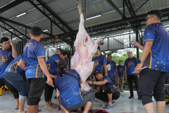 img-028