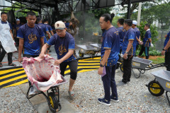 img-06
